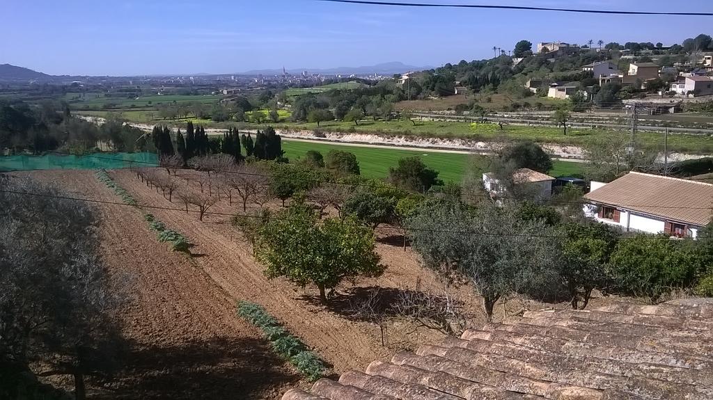 La Casita Villa Manacor Kültér fotó